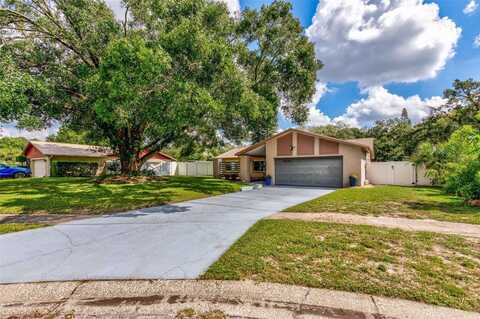 13805 CANDIDATE PLACE, TAMPA, FL 33613