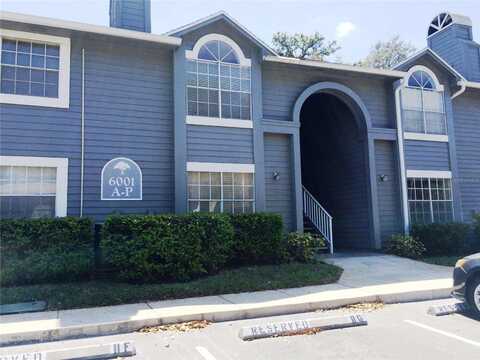6001 LAKETREE LANE, TEMPLE TERRACE, FL 33617
