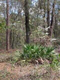 18507 SW 67TH AVENUE, ARCHER, FL 32618