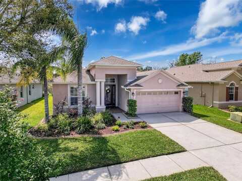20352 FALLING ROCK DRIVE, LAND O LAKES, FL 34638