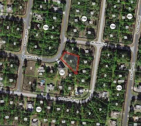 7991 N TINY LILY DRIVE, CITRUS SPRINGS, FL 34434