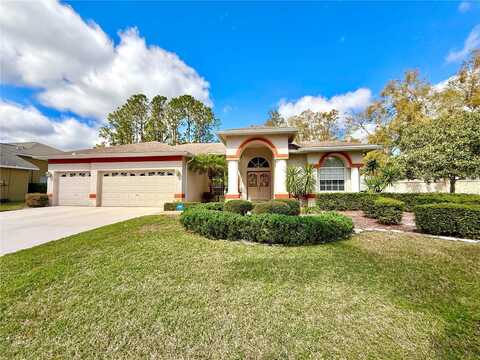 9006 CALLAWAY DRIVE, TRINITY, FL 34655