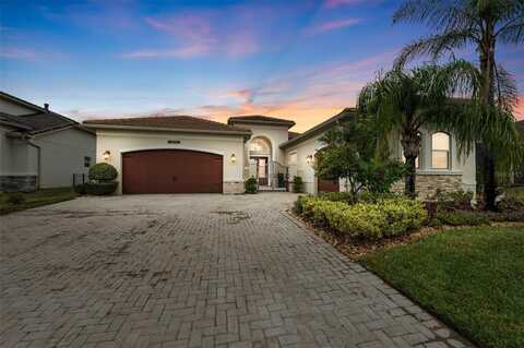 30715 TUMBLEBERRY STREET, WESLEY CHAPEL, FL 33543