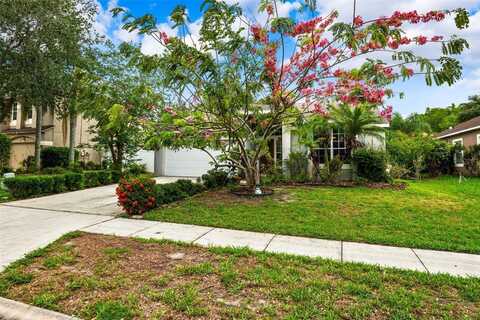 4931 RIDGEMOOR CIRCLE, PALM HARBOR, FL 34685