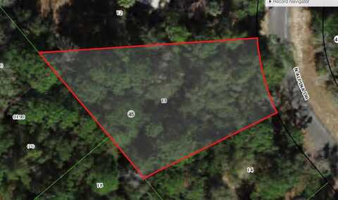 9200 N ALPINIA DRIVE, CITRUS SPRINGS, FL 34434