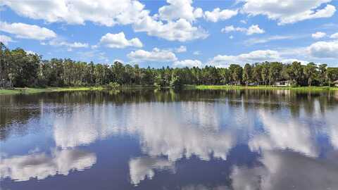 18117 BOY SCOUT ROAD, ODESSA, FL 33556