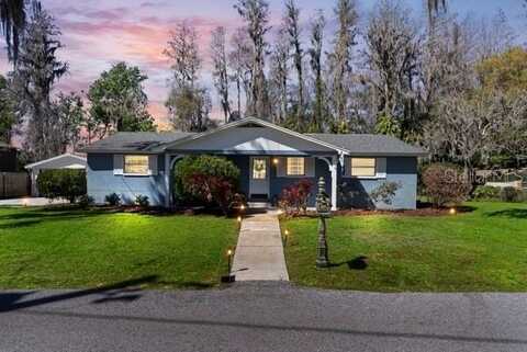 16410 LAKE BYRD DRIVE, TAMPA, FL 33618