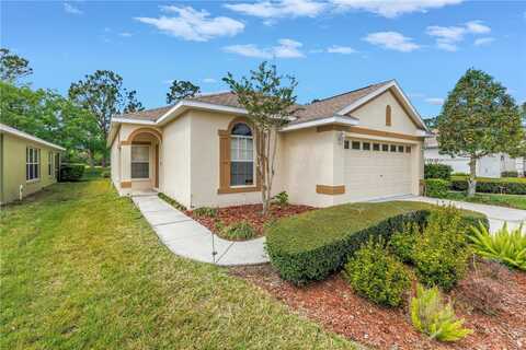 3215 BANYAN HILL LANE, LAND O LAKES, FL 34639