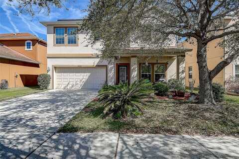 20220 AUTUMN FERN AVENUE, TAMPA, FL 33647