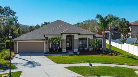 14813 PRINCEWOOD LANE, LAND O LAKES, FL 34638