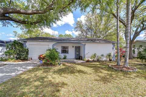14041 ARBOR KNOLL CIRCLE, TAMPA, FL 33625