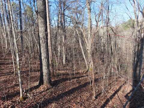 LT1906 Finale Street, Talking Rock, GA 30175