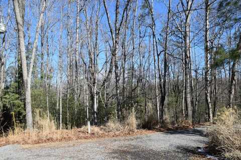 LT 3421 Hart Court, Ellijay, GA 30540