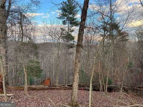 LOT 402 Crown Court, Ellijay, GA 30540
