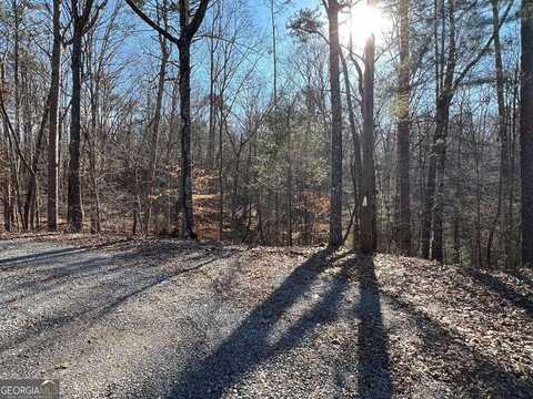 LT1014 Gibe Court, Ellijay, GA 30540