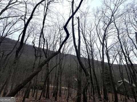 315 Windflower Drive, Jasper, GA 30143