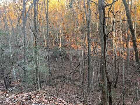 LOT 319 Riverview Drive, Ellijay, GA 30540