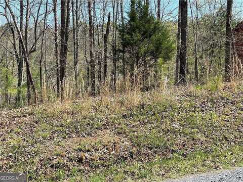 1672 Hunter Drive, Ranger, GA 30734