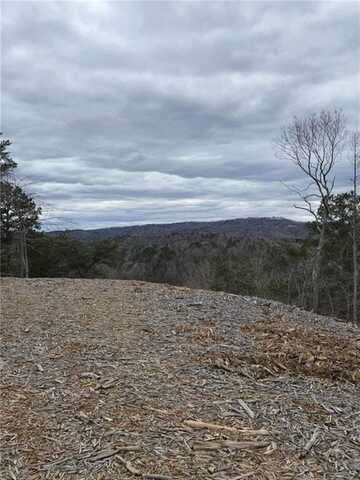 0 Canoe Way, Talking Rock, GA 30175