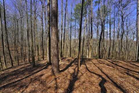 00 Lester Road, Douglasville, GA 30134