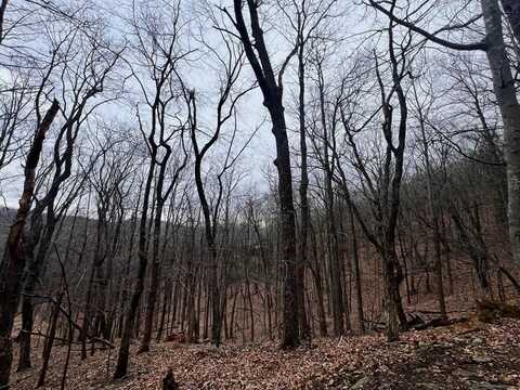 315 Windflower Drive, Jasper, GA 30143