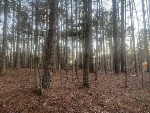 0 Pine Tree Drive, Fayetteville, GA 30214