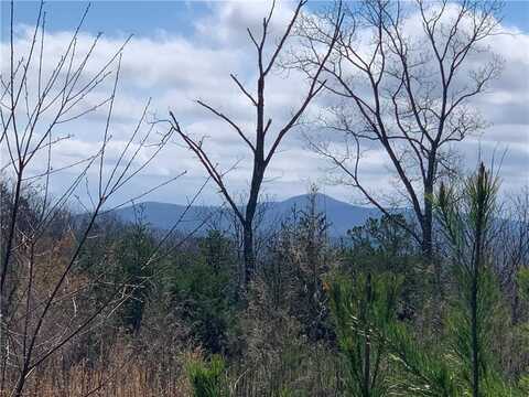 0 Jones Mountain Road, Talking Rock, GA 30175