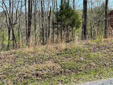 1672 Hunter Drive, Ranger, GA 30734
