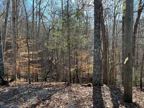 Lt1014 Gibe Court, Ellijay, GA 30540