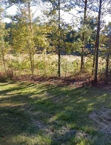 2203 S Flat Rock Road, Douglasville, GA 30134