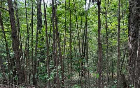 97,98,99 Mutzu Lane, Ellijay, GA 30536