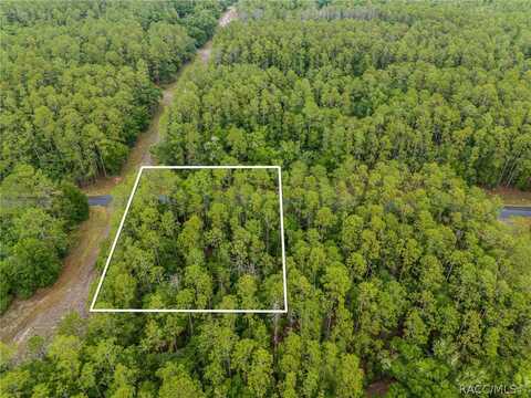 466 E Kingsdale Street, Citrus Springs, FL 34434