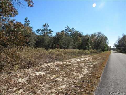0000 SW SANDS PT Avenue, Dunnellon, FL 34431