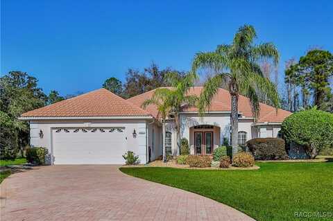 9091 Alexandria Drive, Spring Hill, FL 34613
