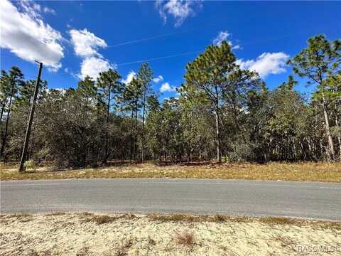 10 Apple Court, Homosassa, FL 34446