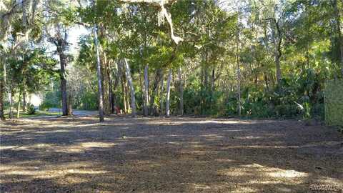 4367 S Conwell Point, Homosassa, FL 34448