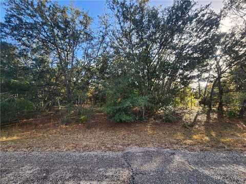 2176 W Conway Drive, Citrus Springs, FL 34434