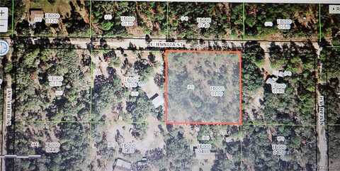 844 E Jinnita Street, Hernando, FL 34442