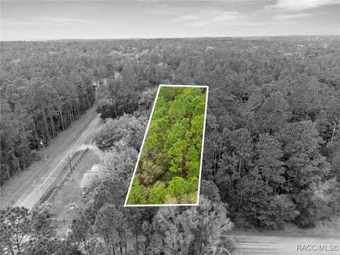 0000 SW 202nd Court, Dunnellon, FL 34431