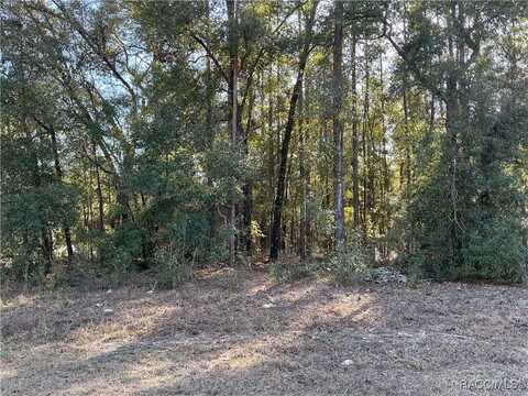 84 W Reef Lane, Citrus Springs, FL 34434