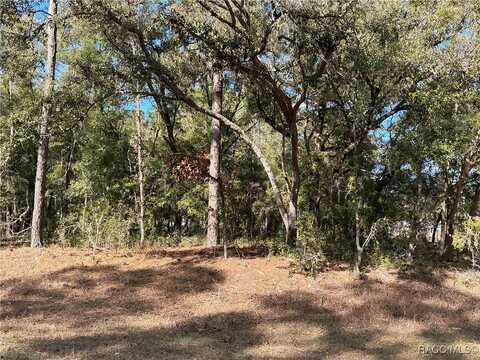 9207 N Sherman Drive, Citrus Springs, FL 34434