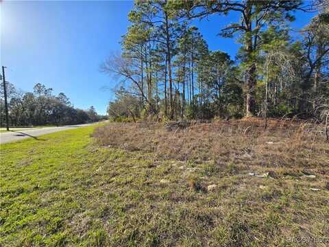 6434 N Baylor Terrace, Dunnellon, FL 34433