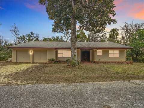 1740 N Squirrel Tree Avenue, Lecanto, FL 34461