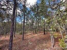 12 Apple Court, Homosassa, FL 34446