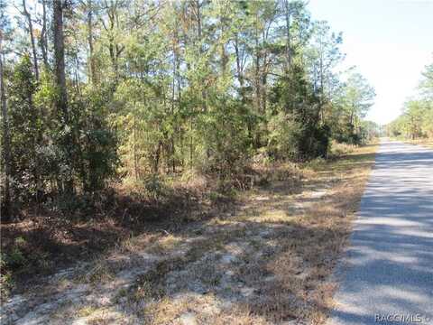 0000 SW BEAVER Drive, Dunnellon, FL 34431