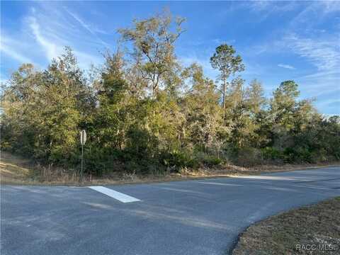 9919 N Pink Moss Point, Crystal River, FL 34428