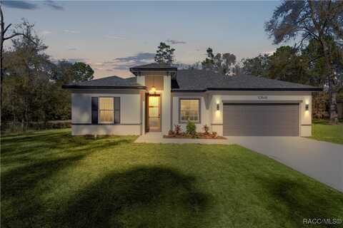 10848 N Robert Dean Way, Citrus Springs, FL 34434