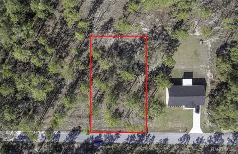 Tbd NW REDWING Road, Dunnellon, FL 34431