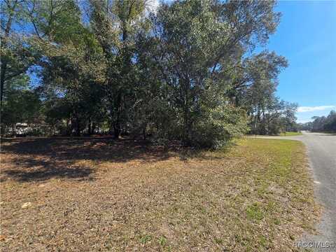 8467 N Empire Avenue, Citrus Springs, FL 34433