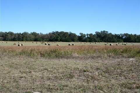 0 S US Hwy 301, Summerfield, FL 34491